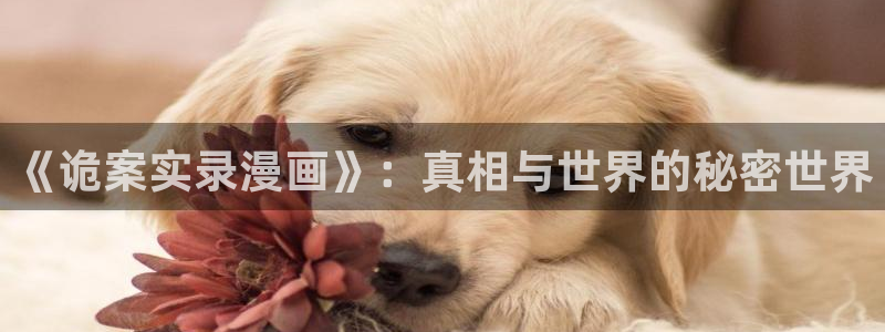 yy漫画网址入口：《诡案实录漫画》：真相与世界的秘密世界