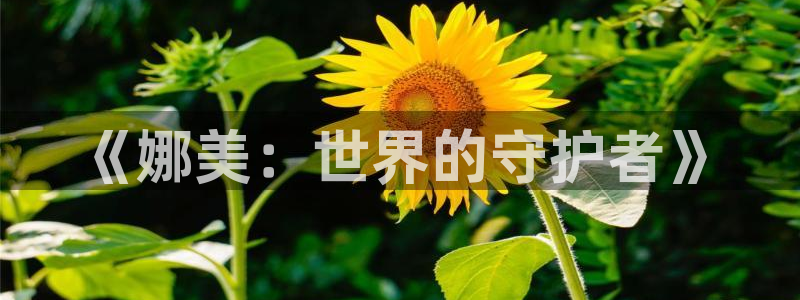 yy漫画破解版无限阅币：《娜美：世界的守护者》